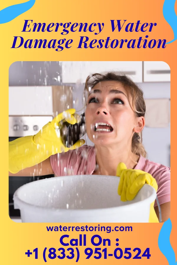 Emergency Water Damage Restoration in Coal Grove, OH