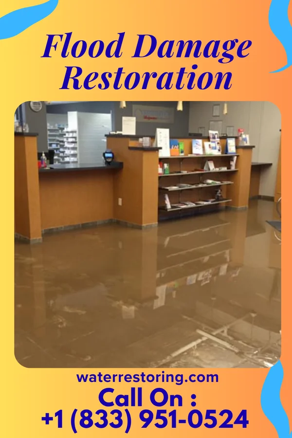 Flood Damage Restoration in Coal Grove, OH