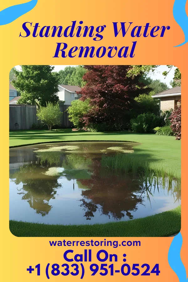 Standing Water Removal in Coal Grove, OH